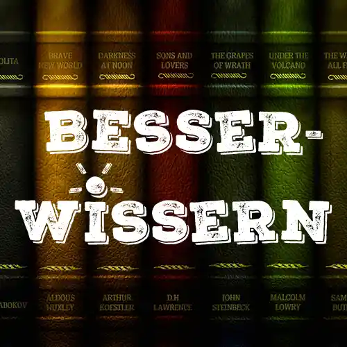 Besserwissern